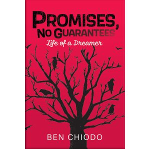 Promises, No Guarantees-Our Books cover
