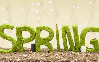 Spring is the perfect time for a fresh approach to marketing efforts