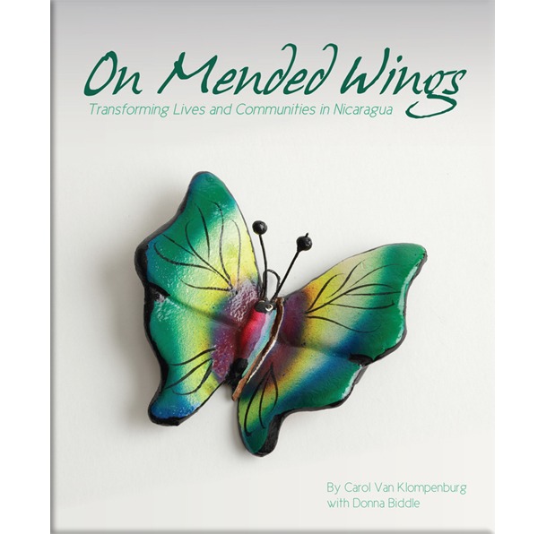 On-Mended-Wings-Our-Books-cover