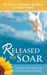 released-to-soar-cover
