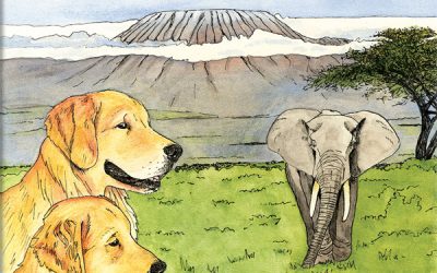 Globe-trotting retrievers return for African safari adventure in new children’s book