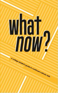 what-now-book-cover