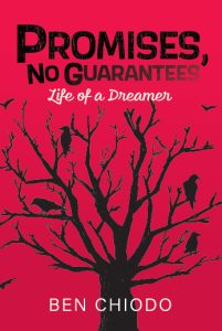 Promises, No Guarantees book cover