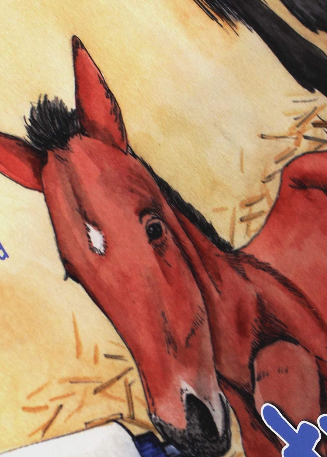 Rooting for the under-horse: New children’s book celebrates hope and courage