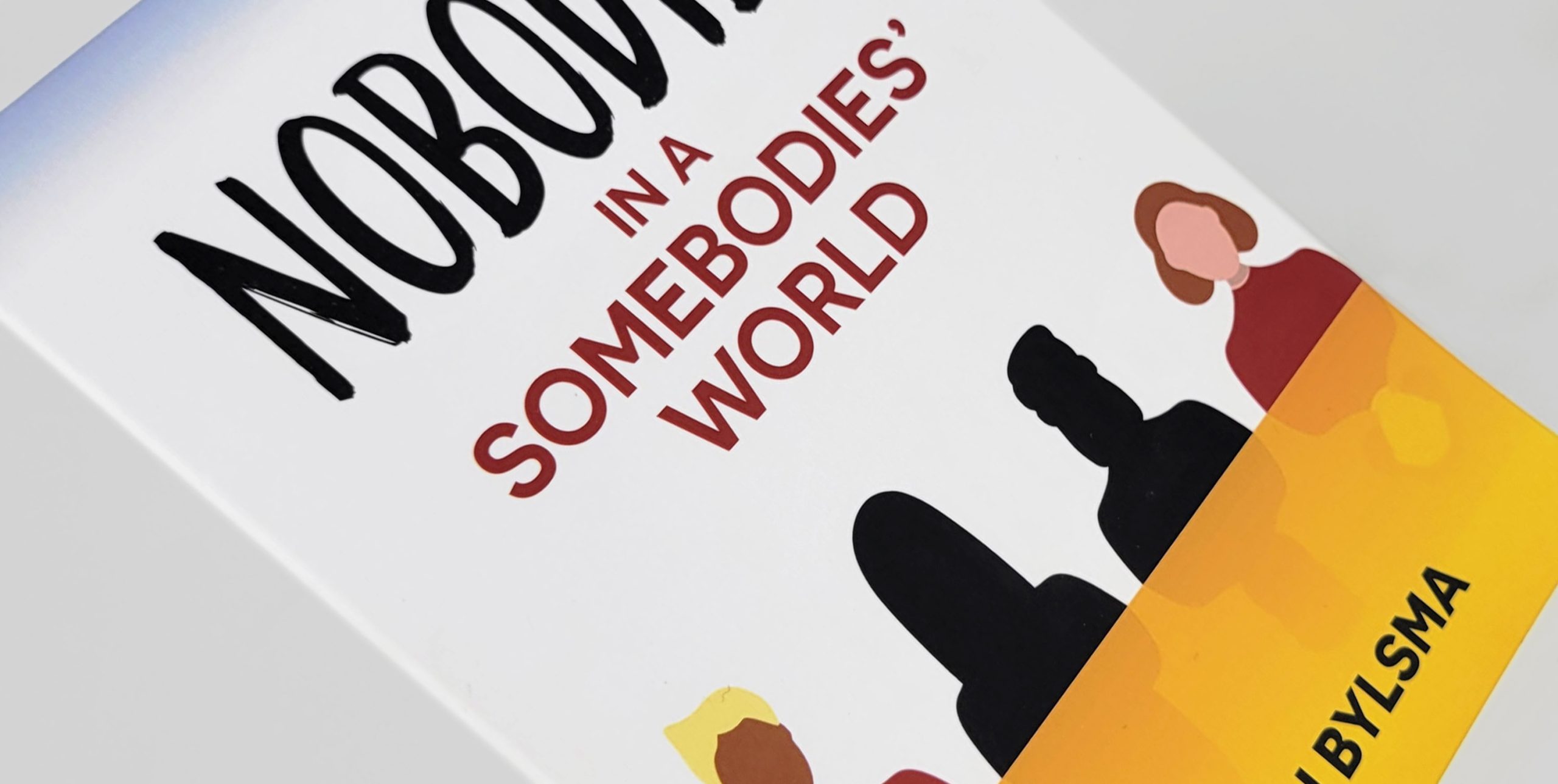 Nobodies In A Somebodies World book cover