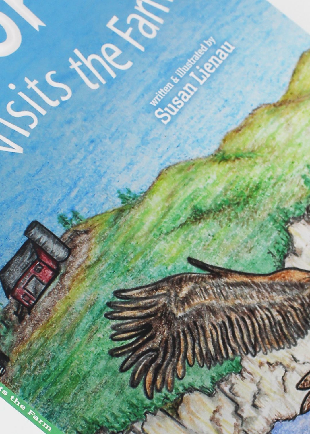 Decorah eagles soar in new children’s book