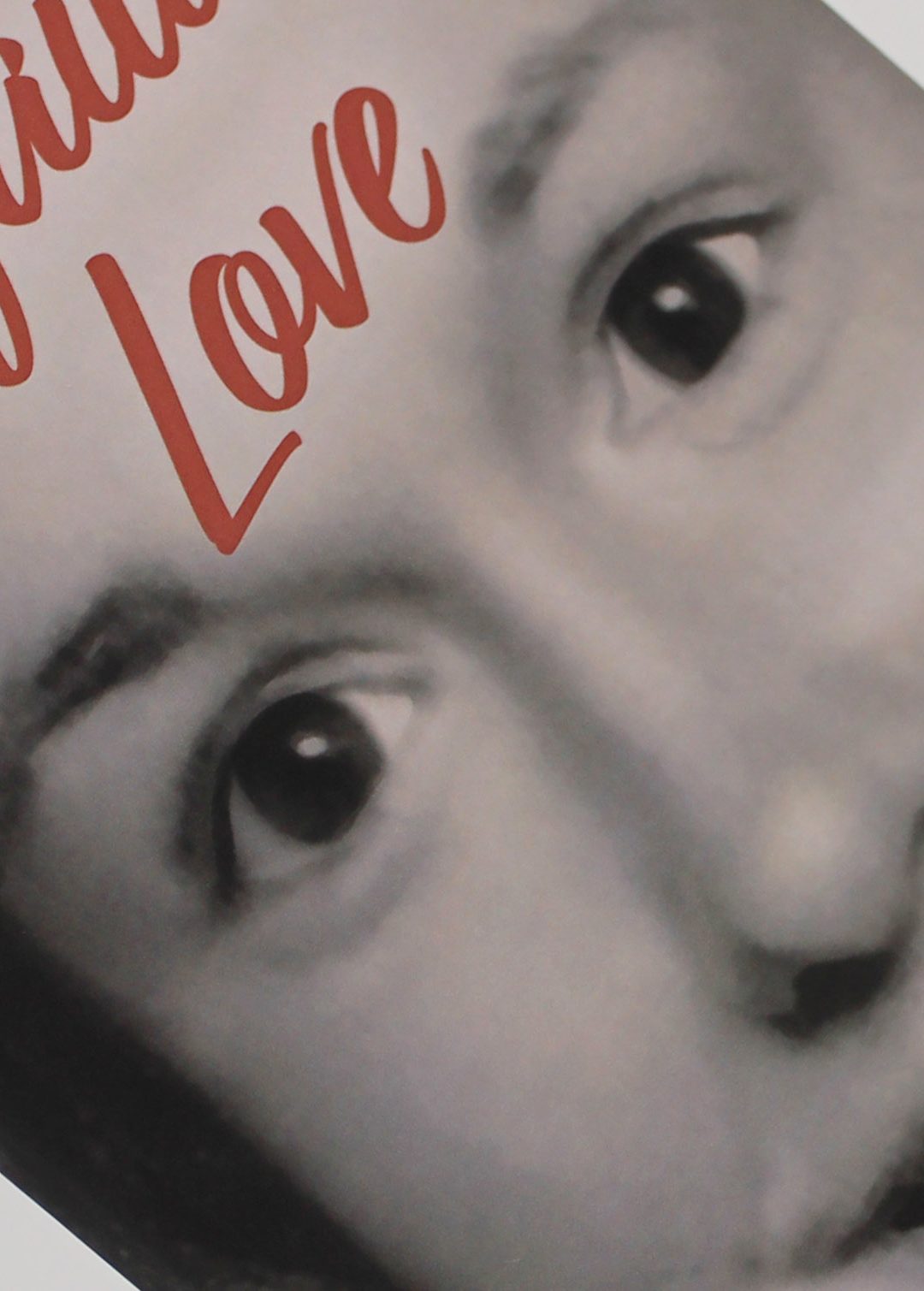 Pella author releases novel based on true story