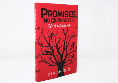 Promises, No Guarantees book photo, showing a red cover with the title in black at the top and a black tree illustration with crows at the bottom
