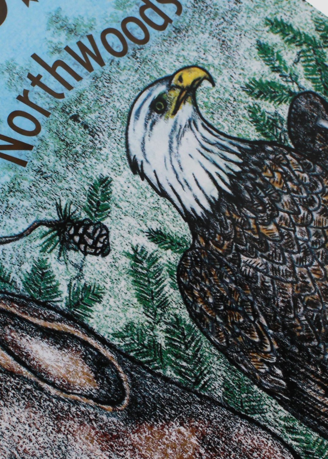 Ruford the Eagle soars back onto the page in highly anticipated sequel