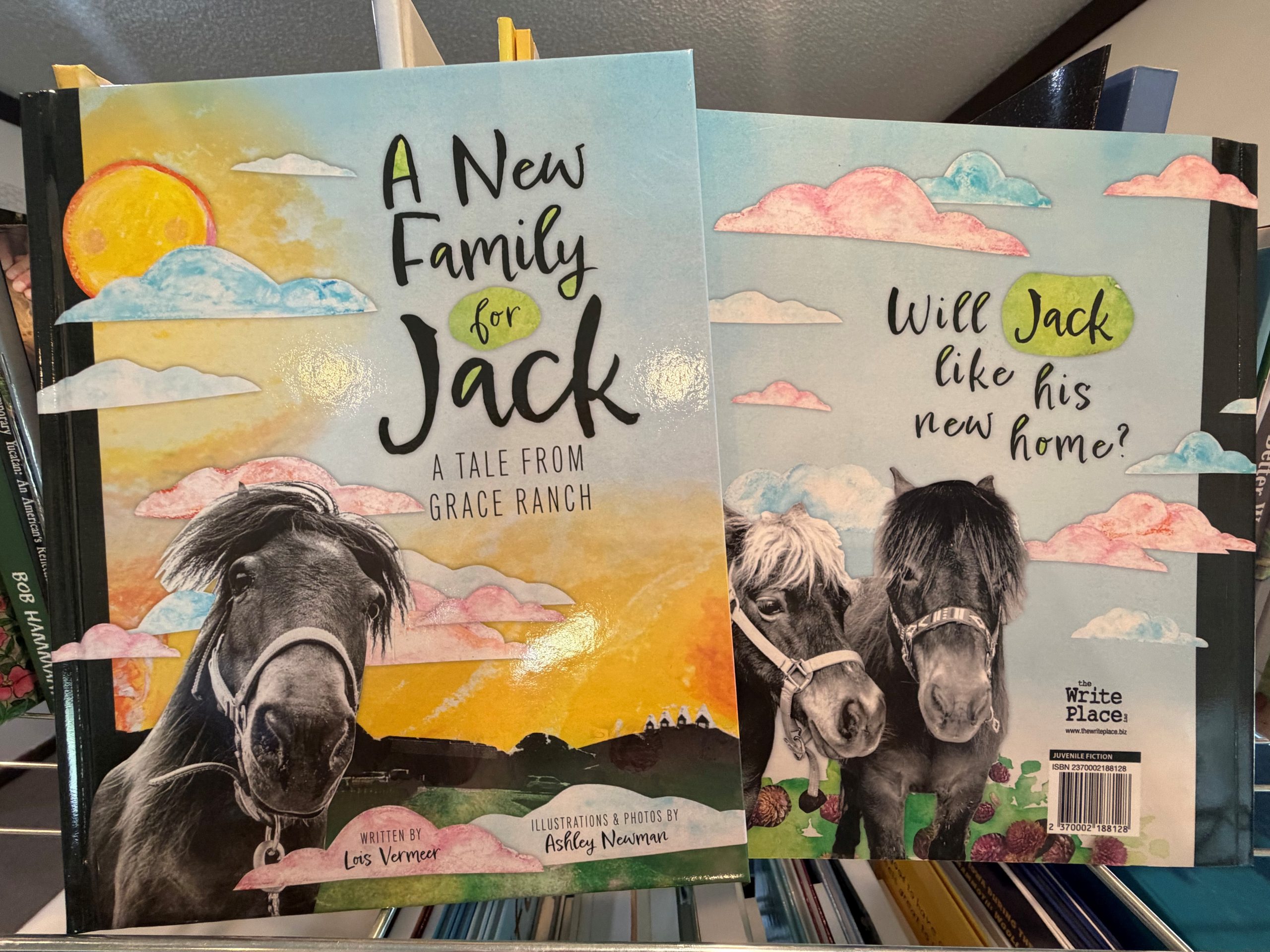 A New Family for Jack-bookshelf Hardcover and softcover versions of A New Family for Jack on a bookshelf